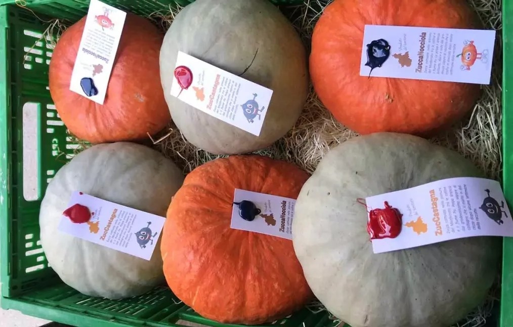 verdura di ottobre