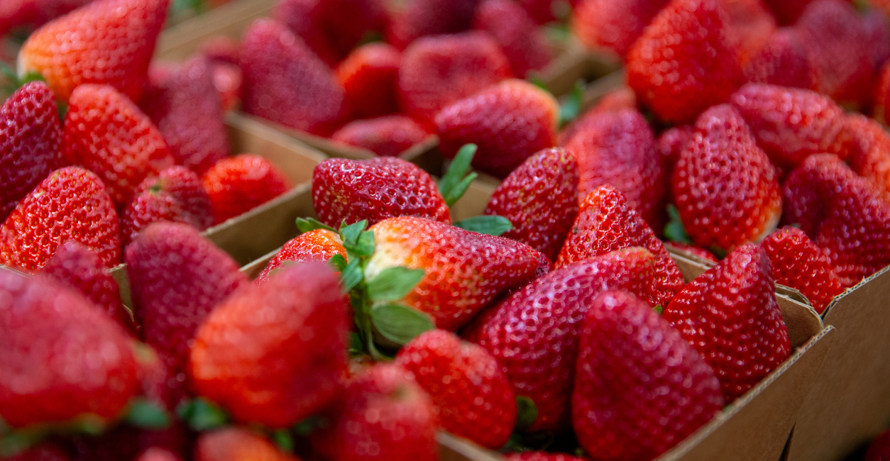 cestini di fragole