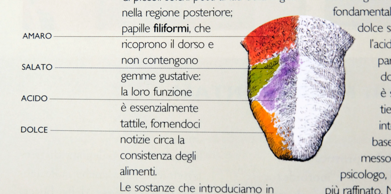 Cos'è il sapore